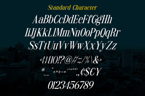 Styluxe - Italic Serif Font studioalmeera 