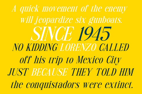 Styluxe - Italic Serif Font studioalmeera 