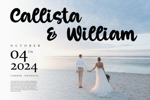 Sublime - Bold Script Font Alpaprana Studio 