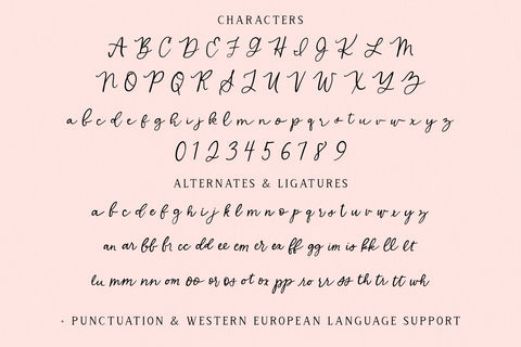 Sugar Muse Script Font Beck McCormick 