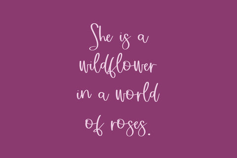 Sugar Plum Fairy Script Font Beck McCormick 