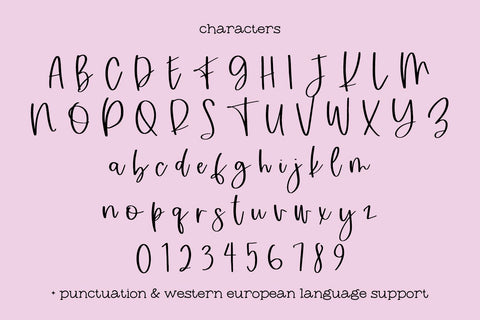 Sugar Plum Fairy Script Font Beck McCormick 