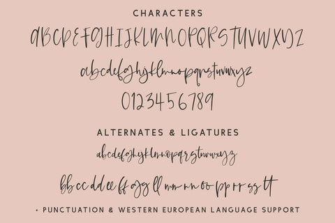 Suggestible Script Font Beck McCormick 