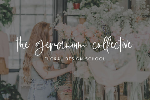 Suggestible Script Font Beck McCormick 