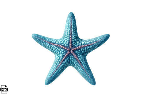 Summer Beach Starfish PNG Clipart Bundle Printable File Sublimation Creativedesigntee 
