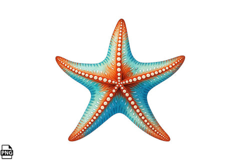 Summer Beach Starfish PNG Clipart Bundle Printable File Sublimation Creativedesigntee 