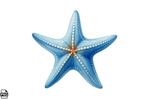 Summer Beach Starfish PNG Clipart Bundle Printable File Sublimation Creativedesigntee 