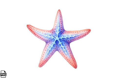 Summer Beach Starfish PNG Clipart Bundle Printable File Sublimation Creativedesigntee 