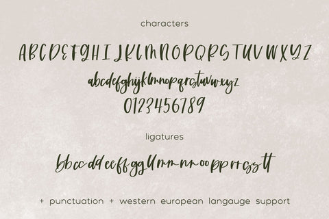 Summer Fling Script Font Beck McCormick 