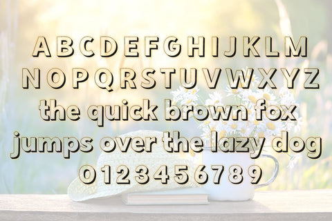 Summer in August Font Misti's Fonts 