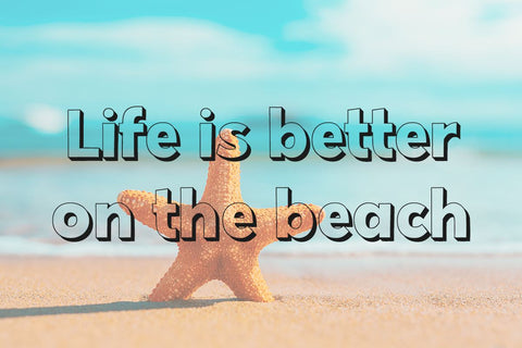 Summer in August Font Misti's Fonts 