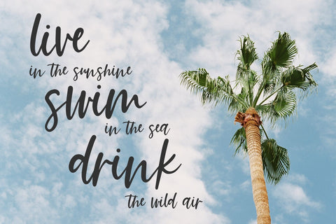 Summer Paradise Script Font Beck McCormick 