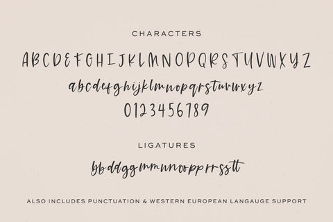Summer Paradise Script Font Beck McCormick 