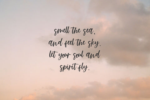 Summer Paradise Script Font Beck McCormick 