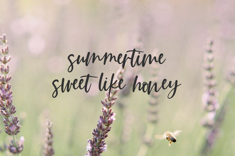 Summer Paradise Script Font Beck McCormick 