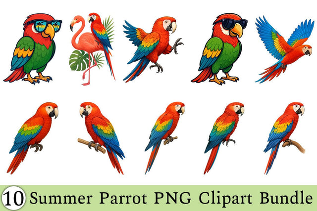 Summer Parrot PNG Clipart Bundle Printable File Sublimation Creativedesigntee 