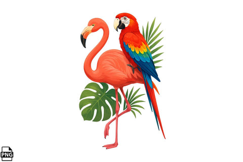 Summer Parrot PNG Clipart Bundle Printable File Sublimation Creativedesigntee 