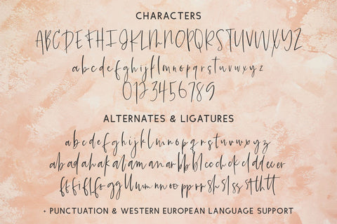 Summerback Script Font Beck McCormick 
