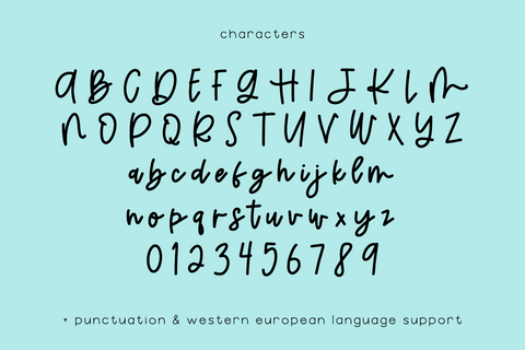 Summercamp Script Font Beck McCormick 