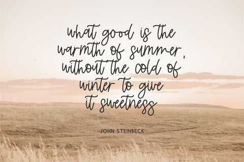 Summerfelt Script Font Beck McCormick 