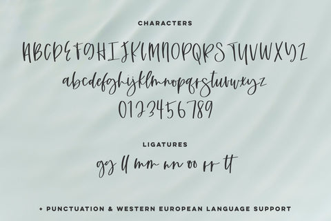 Summerlight Script Font Beck McCormick 