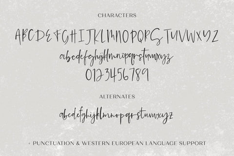 Sunchaser Script Font Beck McCormick 