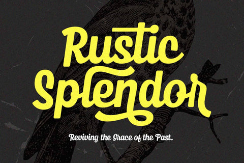 Sunday Ballerina - Modern Vintage Font Arterfak Project 