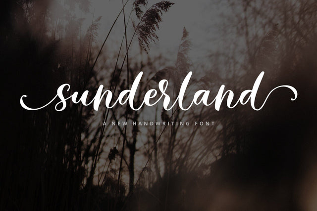Sunderland Script Font Fadeline Std. 