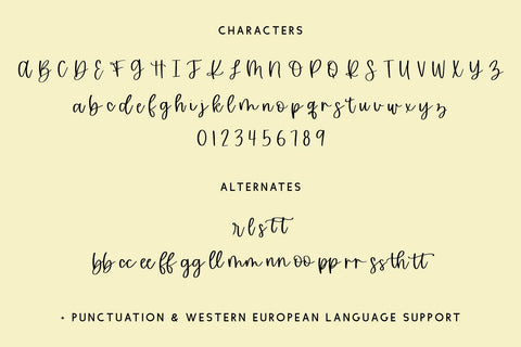 Sunfall Script Font Beck McCormick 