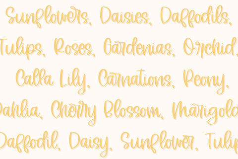 Sunflower Blooms, Cute Handwritten Font for Cricut, Cursive Handwriting Font Designing Digitals 
