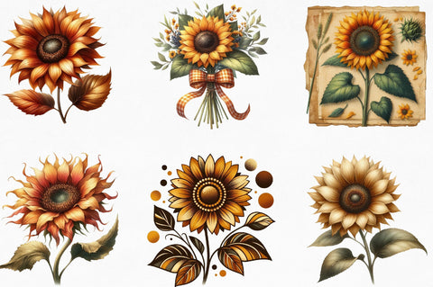 Sunflower Clipart Bundle Sublimation SVGista 