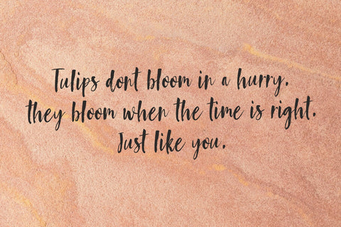 Sunflower Font gatype 