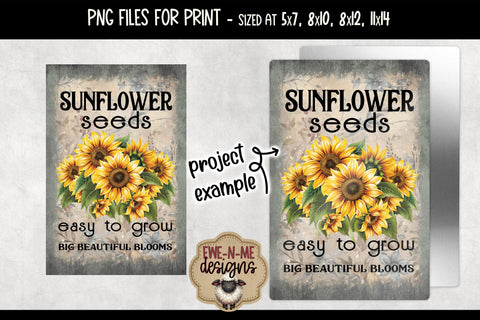Sunflower Seeds Sublimation Design | Vintage Flower Seed PNG Sublimation Ewe-N-Me Designs 