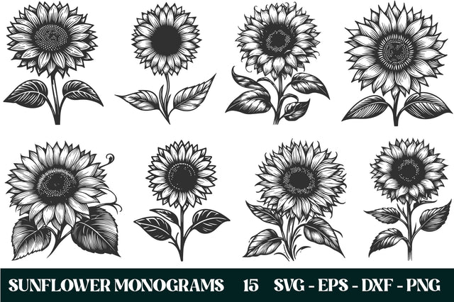 Sunflower SVG Bundle SVG Rupkotha 