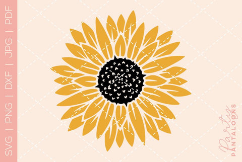 Sunflower svg, sunflower butterfly svg, sunflower quote svg, sunflower, sunflower clipart, sunflower png svg SVG Partypantaloons 