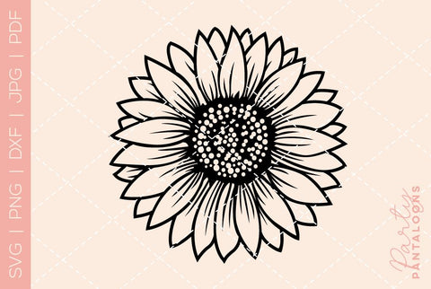 Sunflower svg, sunflowers svg, sunflower butterfly svg, sunflower quote svg, sunflower, sunflower clipart, sunflower png svg SVG Partypantaloons 