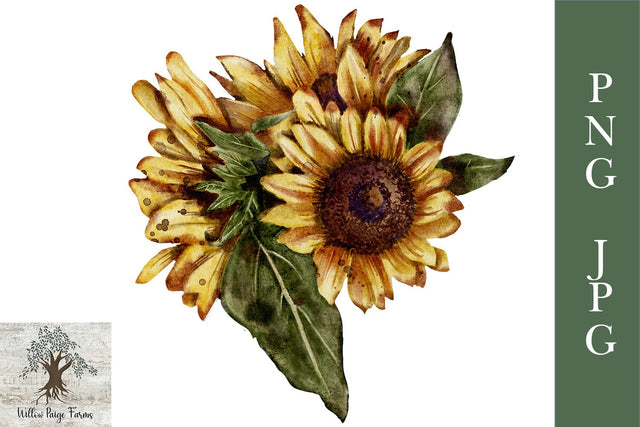 Sunflower watercolor Digital Download JPG and PNG Sublimation Willow Paige Farms 