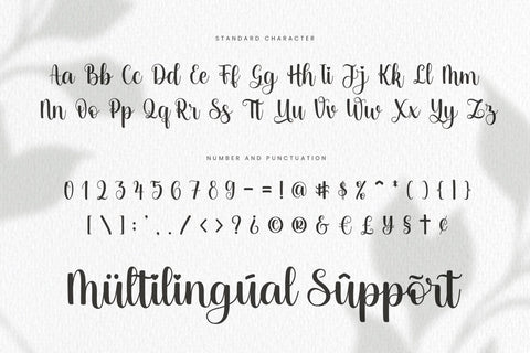 Sunkissed Font Mozarella 