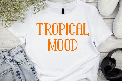 Sunny Scoops - Summer Display Font Font AEN Creative Store 