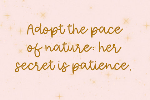 Sunset Fireflies Script Font Beck McCormick 