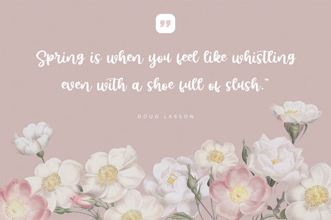 Sunshine - Script Font Font Alpaprana Studio 