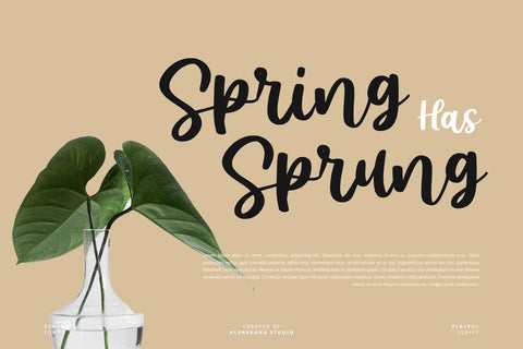 Sunshine - Script Font Font Alpaprana Studio 