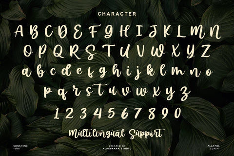Sunshine - Script Font Font Alpaprana Studio 