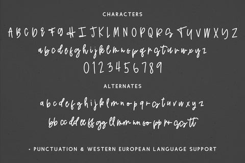 Supernaturally Script Font Beck McCormick 
