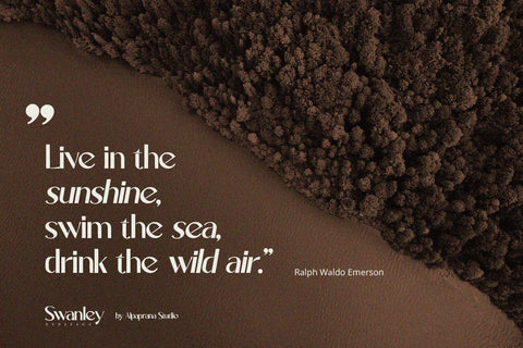 Swanley - Sans Serif Font Font Alpaprana Studio 