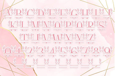 Sweet Blossom Line Monogram Font Dm Letter Studio 