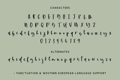Sweet Toast Script Font Beck McCormick 