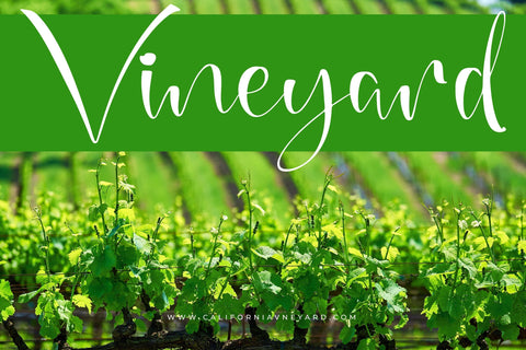 Sweetlime Delight - Beautiful Handwritten Font Font Letterena Studios 