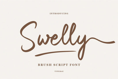 Swelly Handwritten Brush Script Font Typebae 