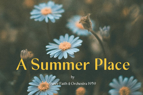 Swiftea – Clean Sans Serif Font Font Four Lines Std. 